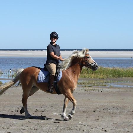 Naar Zee Op Ameland 뷔런 외부 사진