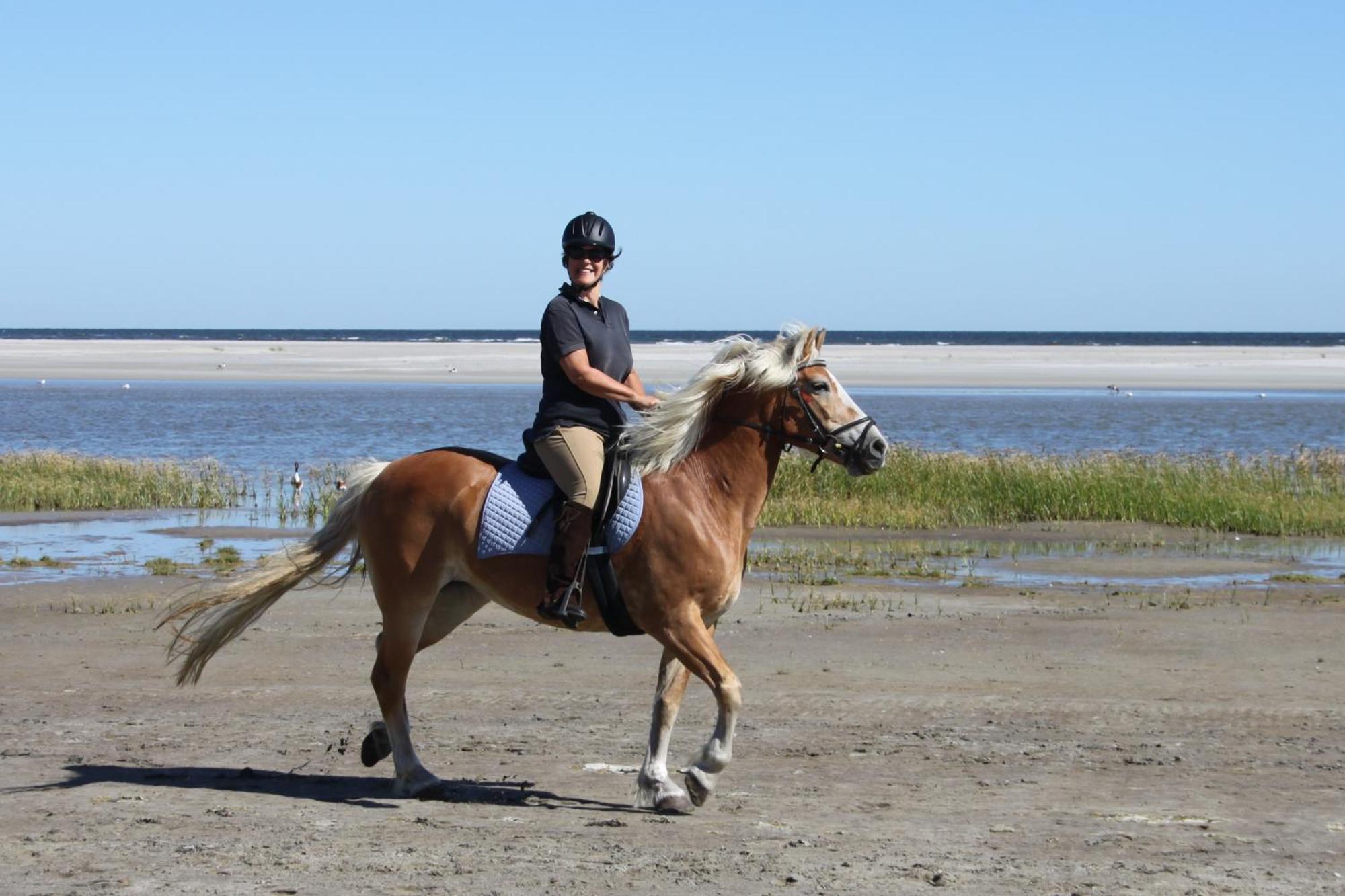 Naar Zee Op Ameland 뷔런 외부 사진